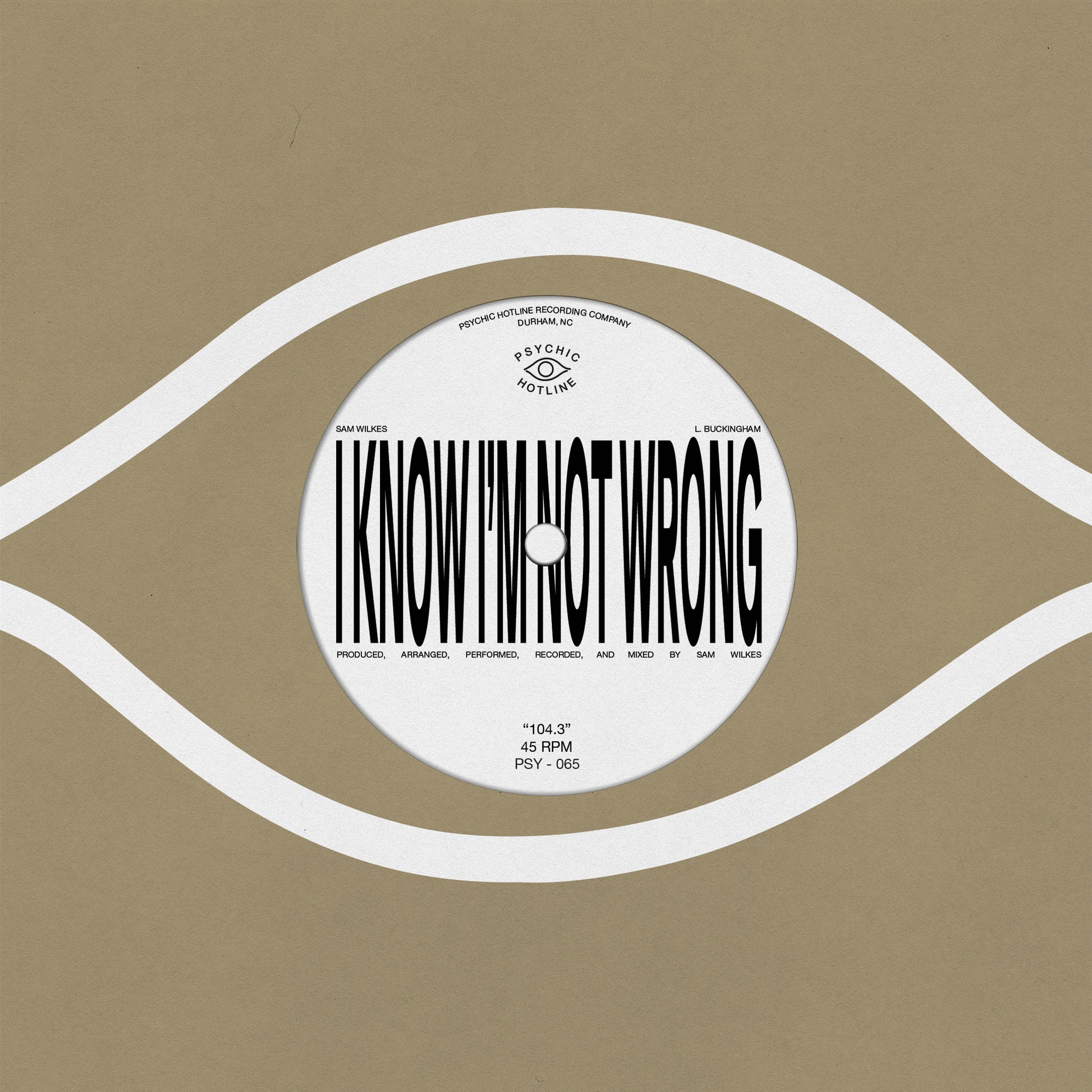 Sam Wilkes • 104.3 | 7" Black Vinyl Single